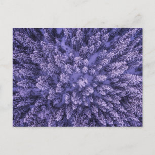 Noors sneeuwbos briefkaart