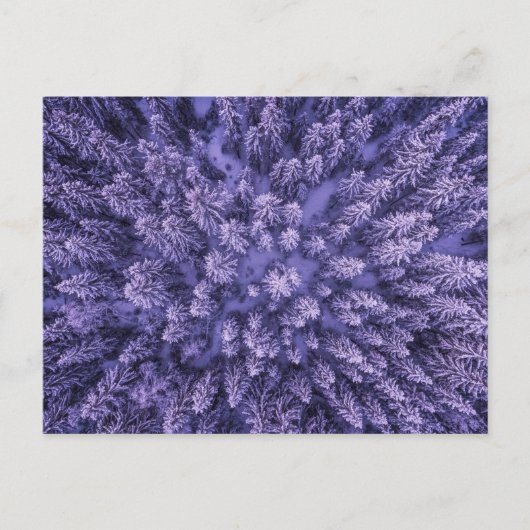 Noors sneeuwbos briefkaart (Voorkant)