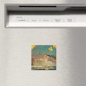 Noorse Amerikaanse lijn Magneet (Insitu (Vaatwasser))