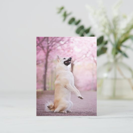 Noorse bloesems voor Buhund en Cherry Briefkaart (Staand voorkant)