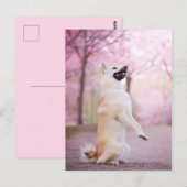 Noorse bloesems voor Buhund en Cherry Briefkaart (Voorkant / Achterkant)