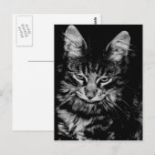 Noorse boskat briefkaart (Voorkant / Achterkant)