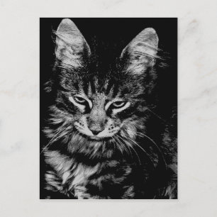 Noorse boskat briefkaart