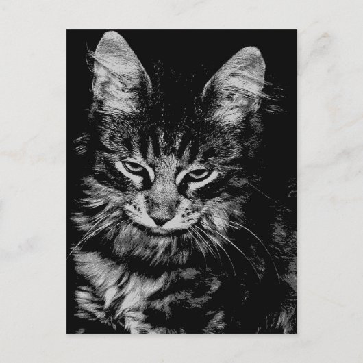 Noorse boskat briefkaart (Voorkant)