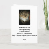 Noorse boskat die je mist Kaart (Achterkant)