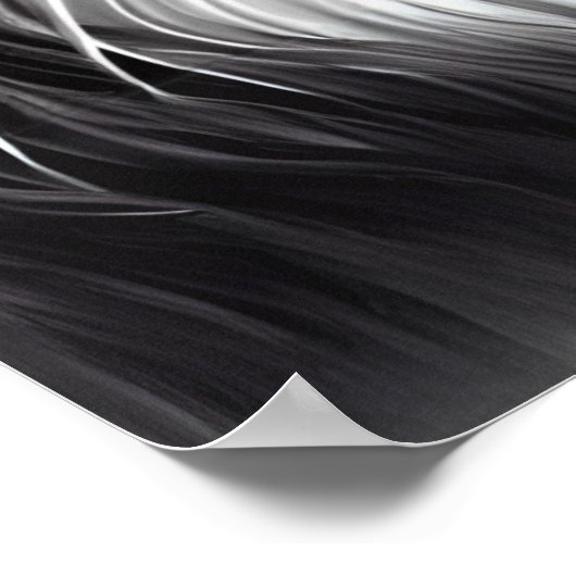 Noorse Boskat in zwart-wit Poster (Hoek)