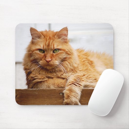 Noorse boskat, koning van Katten Mousepad Muismat (Met muis)