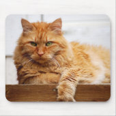 Noorse boskat, koning van Katten Mousepad Muismat (Voorkant)