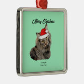 Noorse boskat met Santa Hat Metalen Ornament (Rechts)