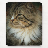 Noorse Boskat Muismat (Voorkant)