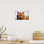 Noorse Boskat Poster (Keuken)