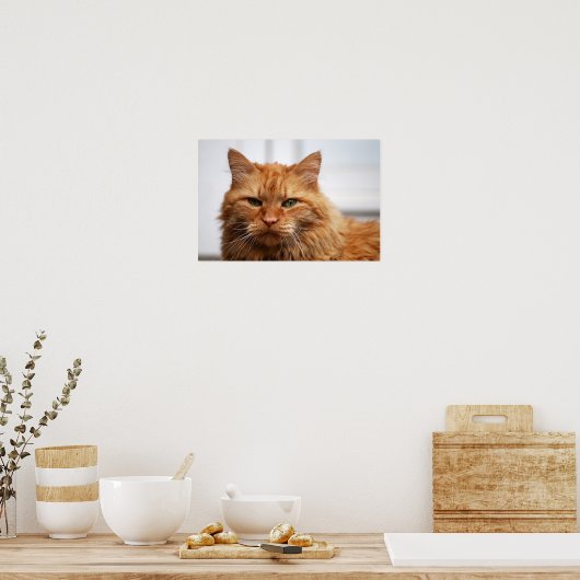 Noorse Boskat Poster (Keuken)