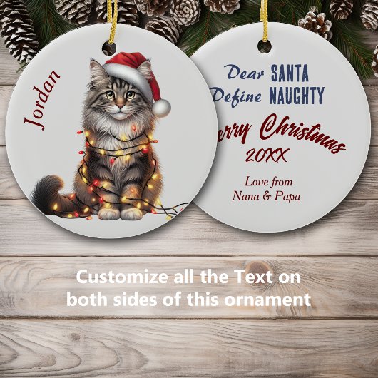 Noorse boskat verpakt in kerstverlichting keramisch ornament