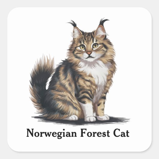 Noorse boskat vierkante sticker (Voorkant)
