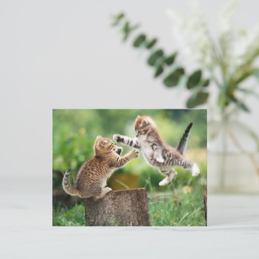 Noorse Boskatjes Briefkaart (Staand voorkant)