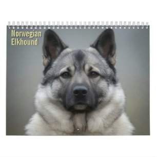 Noorse Elandhond 2027 Muurkalender Kalender