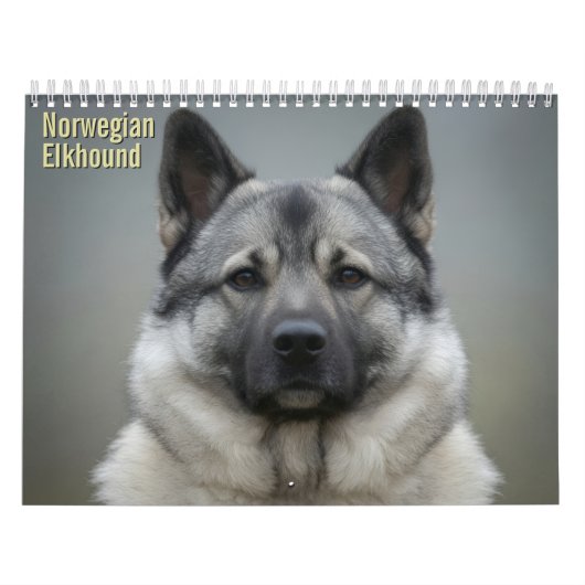 Noorse Elandhond 2027 Muurkalender Kalender (Hoes)
