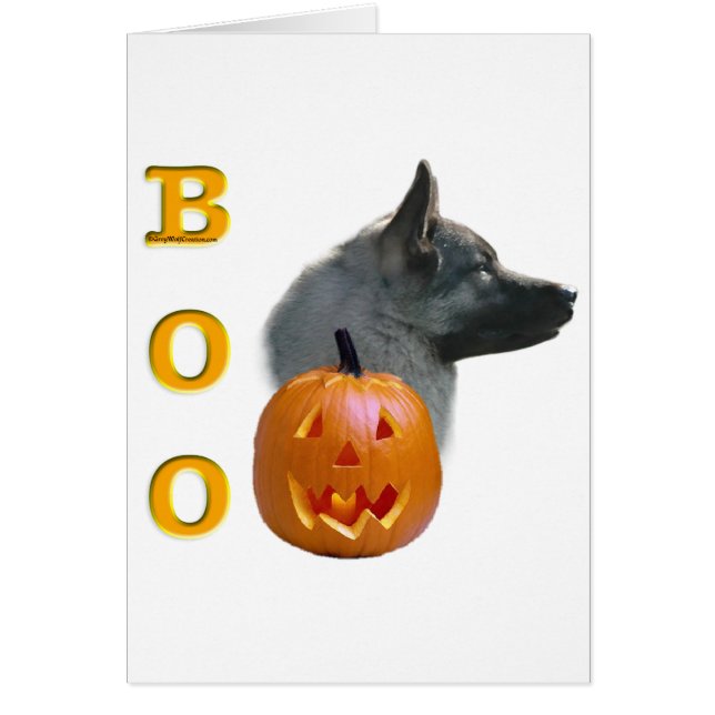 Noorse Elkhound Boo (Voorkant)