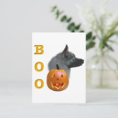 Noorse Elkhound Boo Briefkaart (Staand voorkant)