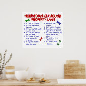 NOORSE ELKHOUND PL2 POSTER (Keuken)