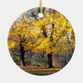 noorse esdoorn keramisch ornament (Achterkant)