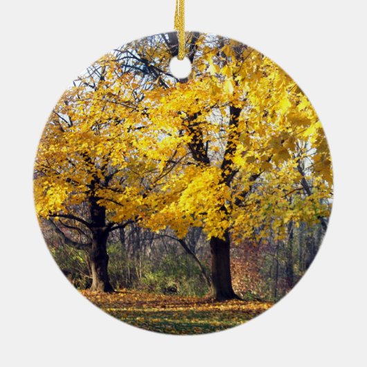 noorse esdoorn keramisch ornament (Achterkant)