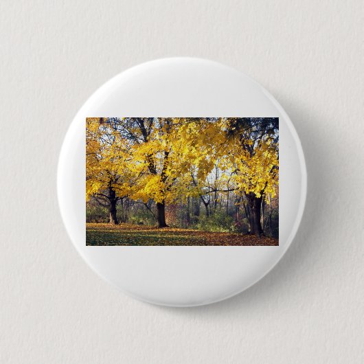 noorse esdoorn ronde button 5,7 cm (Voorkant)