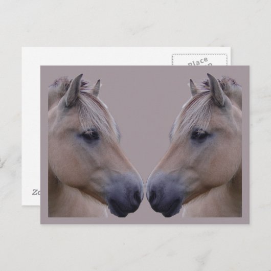 Noorse Fjord Briefkaart (Voorkant / Achterkant)