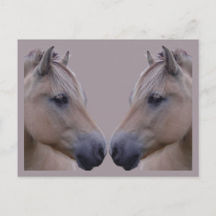 Noorse Fjord Briefkaart