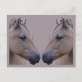 Noorse Fjord Briefkaart (Voorkant)