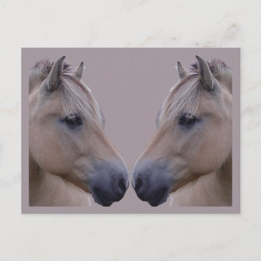 Noorse Fjord Briefkaart (Voorkant)