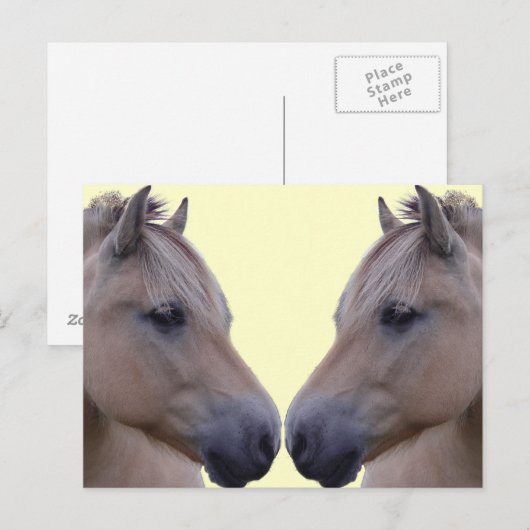 Noorse Fjord Briefkaart (Voorkant / Achterkant)