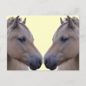 Noorse Fjord Briefkaart (Voorkant)