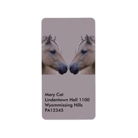 Noorse Fjord Etiket (Voorkant)