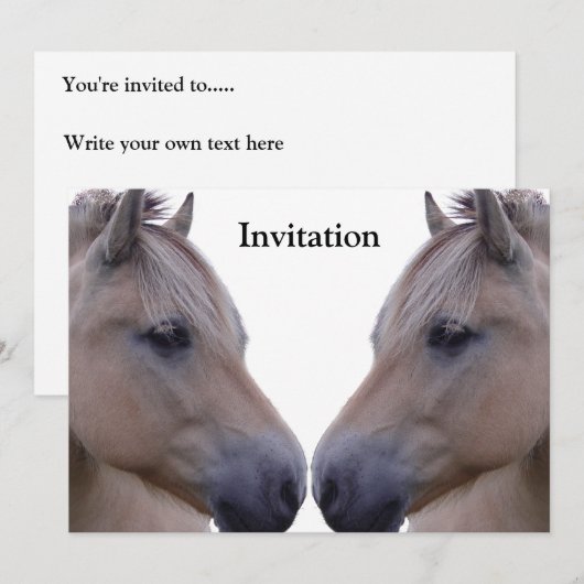 Noorse Fjord Kaart (Voorkant / Achterkant)