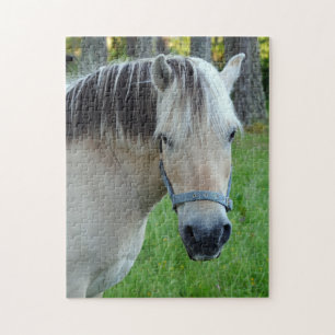 Noorse Fjorden Paard Puzzel
