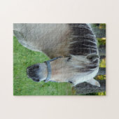 Noorse Fjorden Paard Puzzel Legpuzzel (Horizontaal)