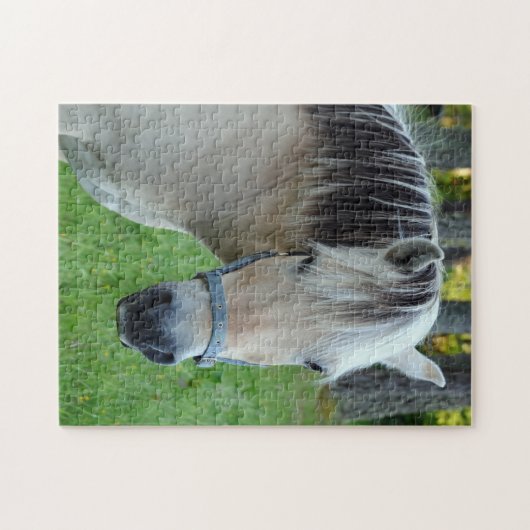 Noorse Fjorden Paard Puzzel Legpuzzel (Horizontaal)