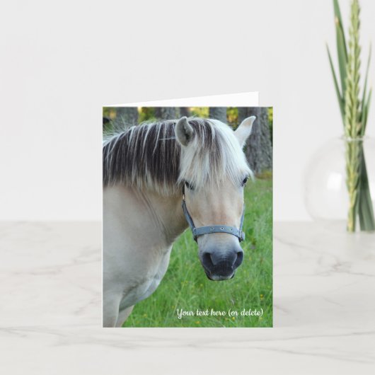 Noorse Fjordenpaard Kaart (Voorkant)