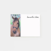 Noorse fjordpaard Post-It-notities Post-it® Notes (Voorkant)