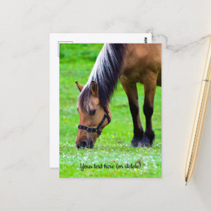 Noorse fjordpaarden ansichtkaart briefkaart