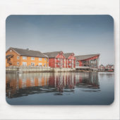 Noorse geverfde huizen muismat (Voorkant)