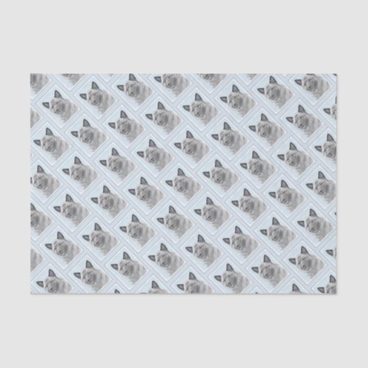 Noorse goudschilderingen - oorspronkelijke hondenk tissuepapier (Voorkant)