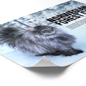 Noorse kat Breed Poster (Hoek)