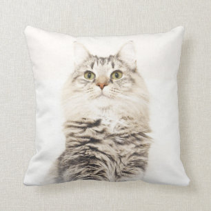 Noorse kat kussen