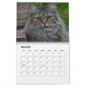 Noorse kattenkalender kalender (Mar 2027)