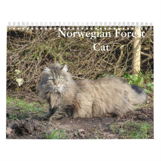 Noorse kattenkalender kalender (Hoes)