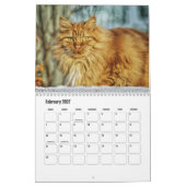 Noorse kattenkalender kalender (Feb 2027)