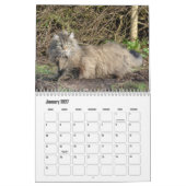 Noorse kattenkalender kalender (Jan 2027)