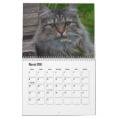 Noorse kattenkalender kalender (Mar 2026)